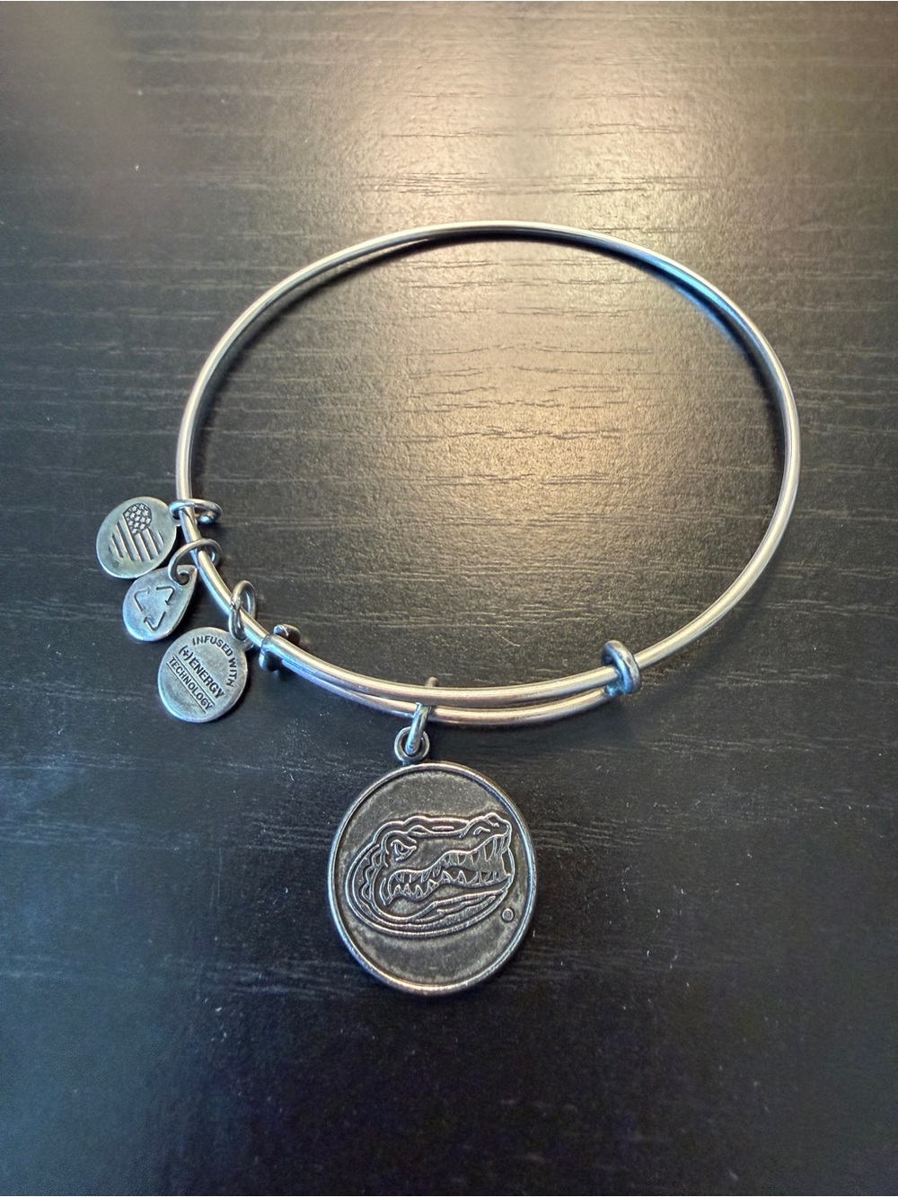 🐊 Alex and Ani Florida Gators Bangle Bracelet — Silver